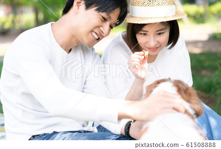 Pet couple park 61508888