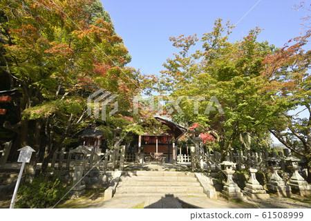 吉田神社蘇神社竹中稻荷大社(Haiden / Main Hall) 吉田神社蘇神社竹中稻荷大社(Haiden / Main Hall) 61508999