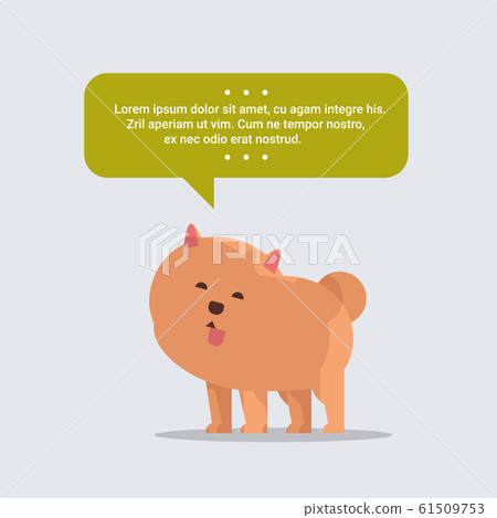 cute spitz dog with chat bubble speech furry human friend home pet concept cartoon animal full length cute spitz dog with chat bubble speech furry human friend home pet concept cartoon animal full length 61509753