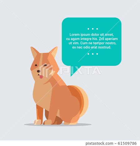cute shiba inu dog with chat bubble speech furry human friend home pet concept cartoon animal full length cute shiba inu dog with chat bubble speech furry human friend home pet concept cartoon animal full length 61509786