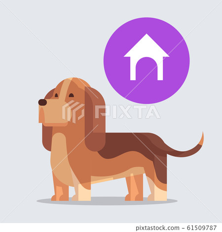 cute beagle dog dreaming about doghouse furry human friend home pet concept cartoon animal full length cute beagle dog dreaming about doghouse furry human friend home pet concept cartoon animal full length 61509787