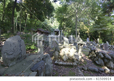 奧古院竹稻荷神社 奧古院竹稻荷神社 61509914