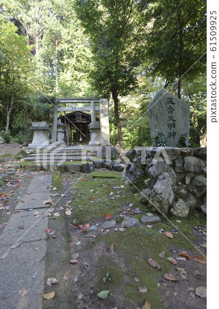 奧古院竹稻荷神社 奧古院竹稻荷神社 61509925