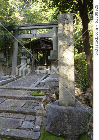 奧古院竹稻荷神社 奧古院竹稻荷神社 61509929