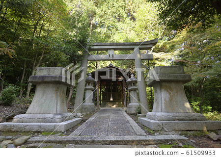 奧古院竹稻荷神社 奧古院竹稻荷神社 61509933