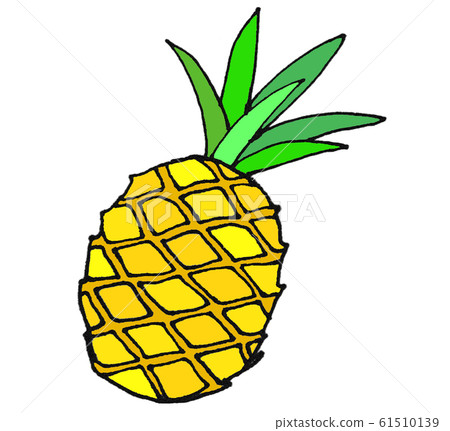 pineapple pineapple 61510139