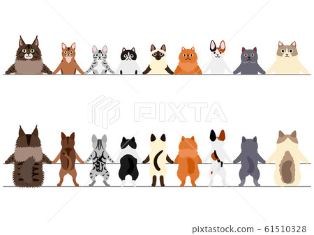 Border of smiling cat Before and after 61510328