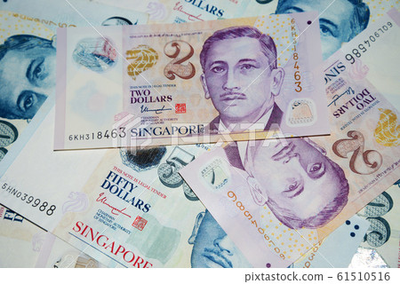 Singapore dollar Singapore dollar 61510516