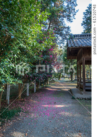 Kamagata Hachiman Shrine Arashiyama Town, Saitama Prefecture 61510748