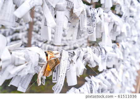 Saga, Japan - Nov. 12, 2018: Japanese random fortune telling paper (Omikuji) folded and tied on rope wires (Omikuji kake) in traditional temple, concept of bringing blessing. Saga, Japan - Nov. 12, 2018: Japanese random fortune telling paper (Omikuji) folded and tied on rope wires (Omikuji kake) in traditional temple, concept of bringing blessing. 61511036