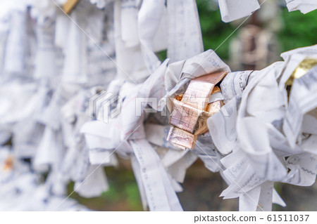 Saga, Japan - Nov. 12, 2018: Japanese random fortune telling paper (Omikuji) folded and tied on rope wires (Omikuji kake) in traditional temple, concept of bringing blessing. 61511037
