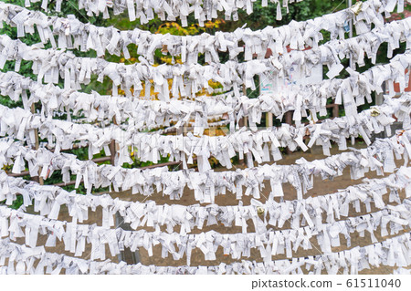 Saga, Japan - Nov. 12, 2018: Japanese random fortune telling paper (Omikuji) folded and tied on rope wires (Omikuji kake) in traditional temple, concept of bringing blessing. Saga, Japan - Nov. 12, 2018: Japanese random fortune telling paper (Omikuji) folded and tied on rope wires (Omikuji kake) in traditional temple, concept of bringing blessing. 61511040