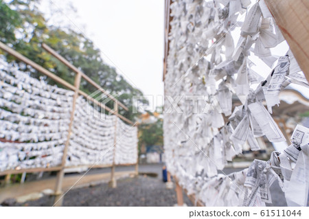 Saga, Japan - Nov. 12, 2018: Japanese random fortune telling paper (Omikuji) folded and tied on rope wires (Omikuji kake) in traditional temple, concept of bringing blessing. Saga, Japan - Nov. 12, 2018: Japanese random fortune telling paper (Omikuji) folded and tied on rope wires (Omikuji kake) in traditional temple, concept of bringing blessing. 61511044