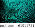 水聲 61511721