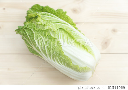 Cabbage Cabbage 61511969