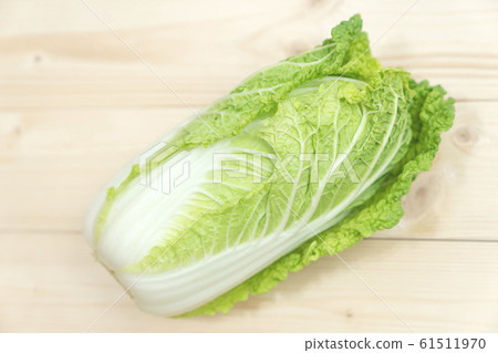 Cabbage 61511970