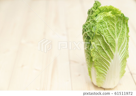 Cabbage Cabbage 61511972
