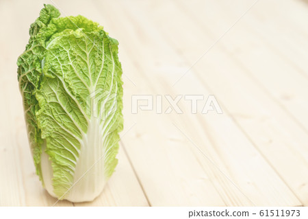 Cabbage Cabbage 61511973