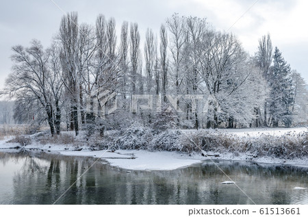 Wintry Rhine River landscape with snow covered trees near Stein am Rhein, Switzerland 61513661
