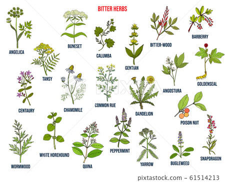 Bitter herbs collection 61514213