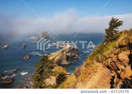 Oregon coast Oregon coast 61514378