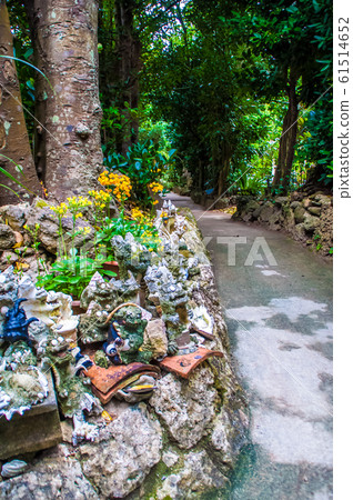 Fukugi Namiki Fukugi Namiki 61514652