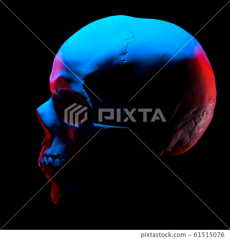 Side view of gypsum model of the human skull isolated on black background Side view of gypsum model of the human skull isolated on black background 61515076