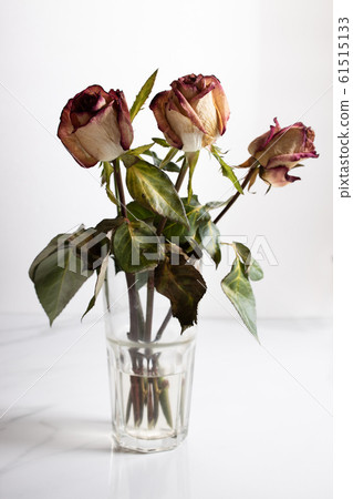 dried rose flowers dried rose flowers 61515133
