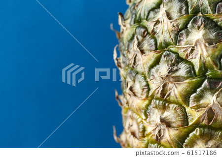 pineapple peel place for text 61517186