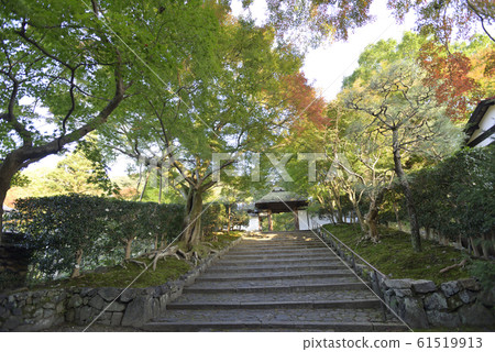 安田寺 安田寺 61519913