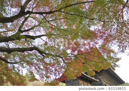 Yasuda Temple 61519915