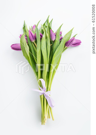 Bouquet of purple tulips on white top view 61520008