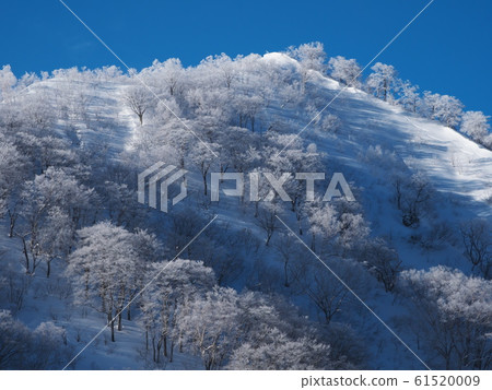 View of the mysterious peak from the Alps flat of the ripe Hakuba Goryu ski resort View of the mysterious peak from the Alps flat of the ripe Hakuba Goryu ski resort 61520009
