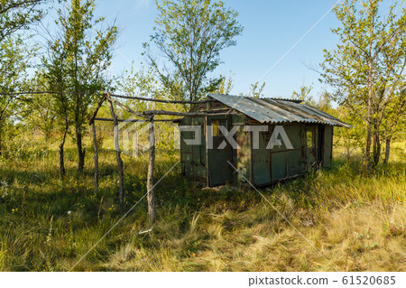 Old abandoned wagon or trailer in the forest Old abandoned wagon or trailer in the forest 61520685