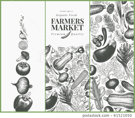 Vegetables hand drawn vector banner set. Retro Vegetables hand drawn vector banner set. Retro 61521050