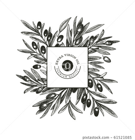 Olive branch design template. Hand drawn vector - Stock Illustration ...