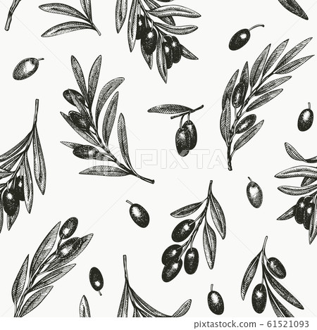 Olive branch seamless pattern. Hand drawn vector - Stock Illustration ...
