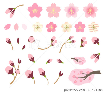 Sakura Illustration Material Set Stock Illustration