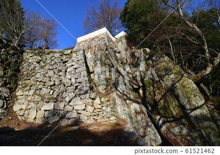 Under the blue sky Bichu Matsuyama Castle in the winter withering 61521462