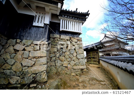 Under the blue sky Bichu Matsuyama Castle in the winter withering Under the blue sky Bichu Matsuyama Castle in the winter withering 61521467