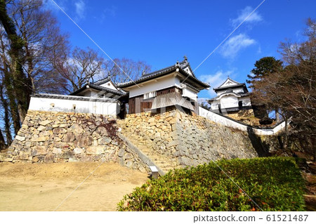 藍天下碧鬆鬆山城在冬天凋零 藍天下碧鬆鬆山城在冬天凋零 61521487