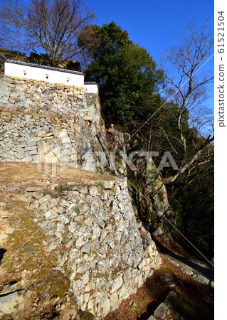 藍天下碧鬆鬆山城在冬天凋零 藍天下碧鬆鬆山城在冬天凋零 61521504
