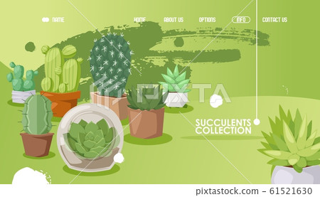 Succulent store website design, vector illustration. Landing page template for houseplant shop, collection of decorative cacti in flowerpot. Exotic plant for home Succulent store website design, vector illustration. Landing page template for houseplant shop, collection of decorative cacti in flowerpot. Exotic plant for home 61521630