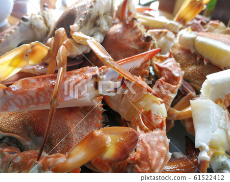 Close up Steamed blue crab seafood Thailand Close up Steamed blue crab seafood Thailand 61522412