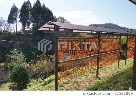 Rice of dried persimmons Rice of dried persimmons 61522899