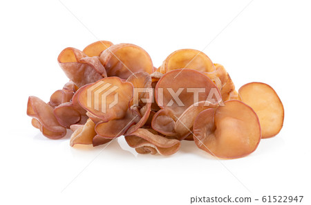 Jew's ear, Wood ear, Jelly ear isolated on white 61522947