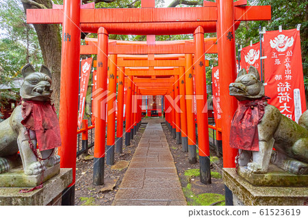 大杉神社鳥居 大杉神社鳥居 61523619