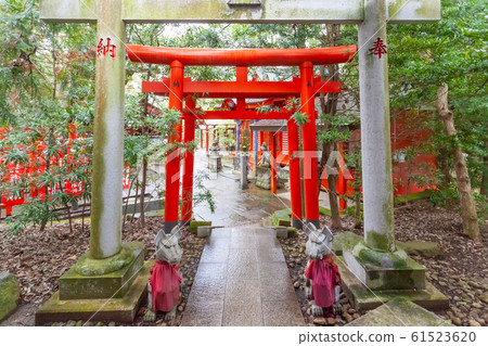 大杉神社鳥居 大杉神社鳥居 61523620