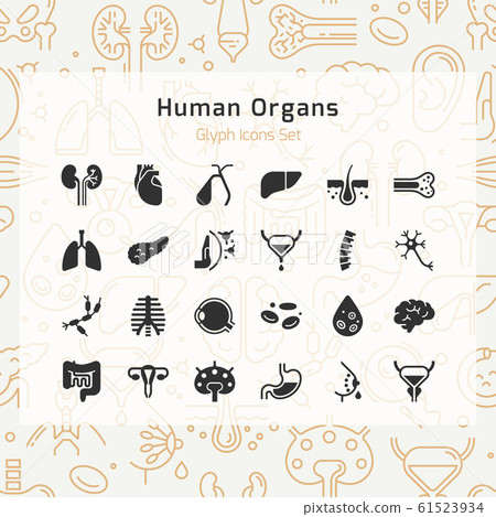 Set of vector icons of internal human organs in... - Stock Illustration ...