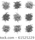 Tree 3D Rendering 61525229